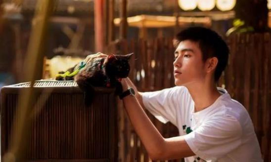 陈飞宇爆料后续事件视频,揭秘事件背后真相与影响  第2张